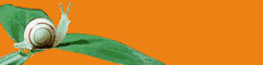 banner5