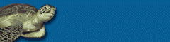 banner6